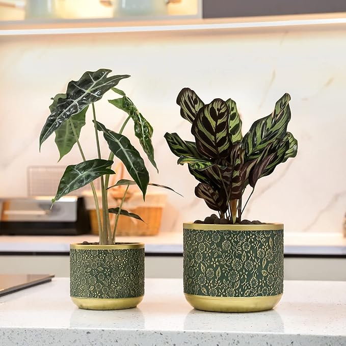 6 +4.4 Inch Cement Planter Decorative Pots with Drainage Hole for All House Plants, Succulents, Flowers, and Cactus (Green)