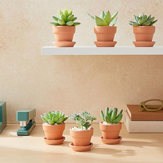 Juvale Miniature Clay Pots with Saucers & Drainage Holes - 1.9 x 2 x 1.7 inches - 16-Pack Rustic Terracotta Succulent Planters - Tiny Terracotta Pots with Tray for Garden Decor