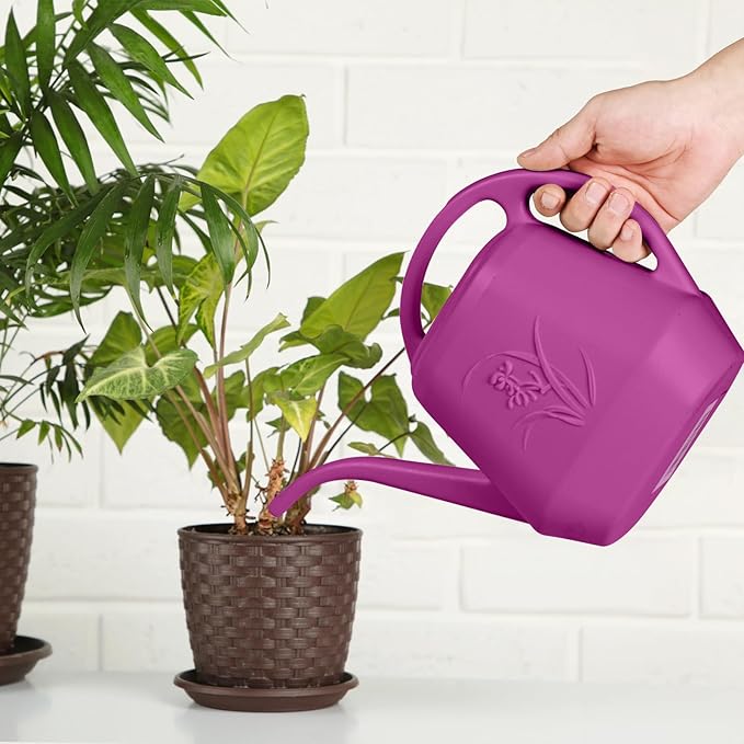 Plastic Watering Can - for Indoor and Outdoor Plant - 1/2 Gallon - Rose Red