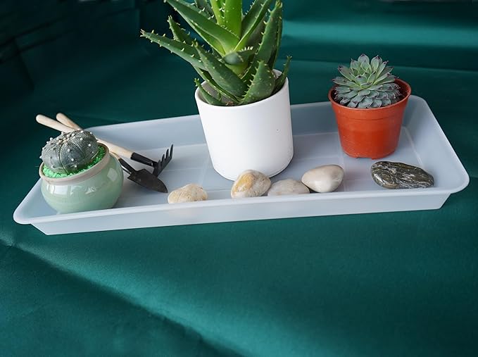2 Pack of Plastic Plant Tray Saucer Rectangular 17 18 inch, Planter Trays Saucers for Indoors Outdoor, Plant Water Drip Tray for Flower Pot Planter, Windowsill Trays (7.8 X 17.5'', Clear)