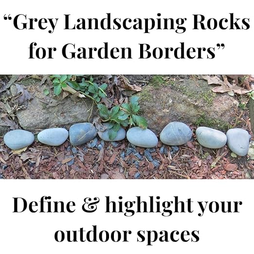 Natural Rocks for Aquarium, 5Lb Stone Terrarium, hydroponic Grow Media, Rock Garden Edging, Terrarium Rocks, Fish Tank Stones, Decorative Stones for vases, Planter Filler