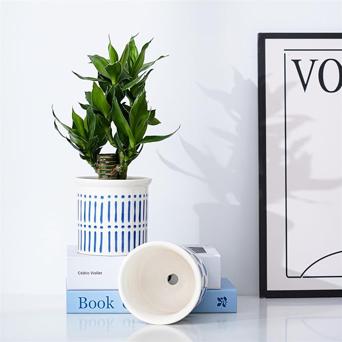 Pots of Indoor Plants 4 Inch Succulents Flower Pots Set of 2 Ceramic Planters Painted Blue Lines and Polka Dots Flower Pots with Drainage Hole for Cactus and Small Houseplants Gifts