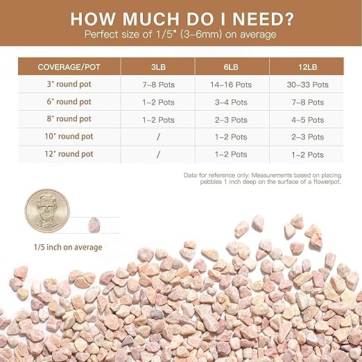 NUPICK 12 lbs Pebbles for Indoor Plants, 1/5 Inch Pea Gravel for Fish Tank, Decorative Rocks for Succulent, Natural River Stones for Vases, Cactus, Landscaping, Bird Bath, Aquarium, Peach