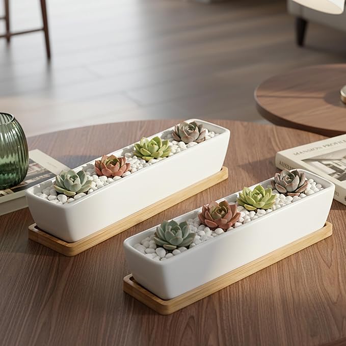 White Ceramic Succulent Planters, Indoor and Outdoor Succulent Planters, Set of 2 Cactus Containers, Bonsai Pots, Flower Pots with Drainage Hole and Bamboo Bowl (No Plant)