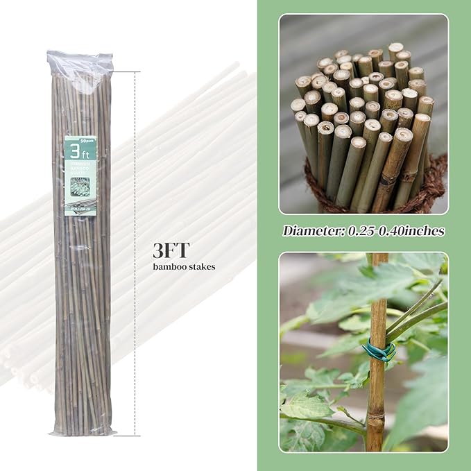 50PCS Bamboo Stakes Bamboo Poles Eco-Friendly Bamboo Support Plant Stakes for Tomato, Bean, Flowers,Trees Potted and Climbing Plant Natural Garden Stakes with 30 Pieces Green Twist Ties(3.0FT)