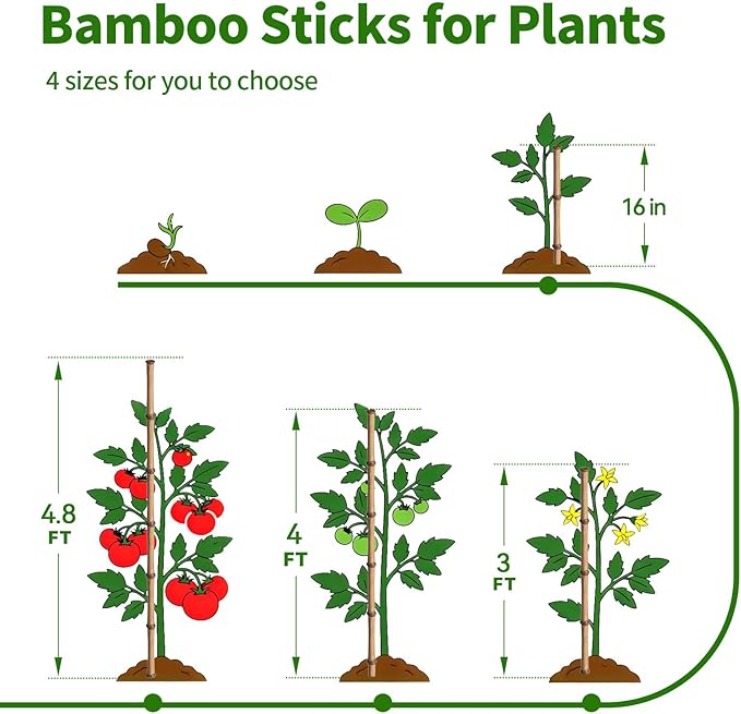 Plant Stakes, 25 Pack 4FT Natural Garden Bamboo Sticks, Plant Support Stakes for Indoor & Outdoor Plants, Orchid Tomato Vegetable Stakes for Garden