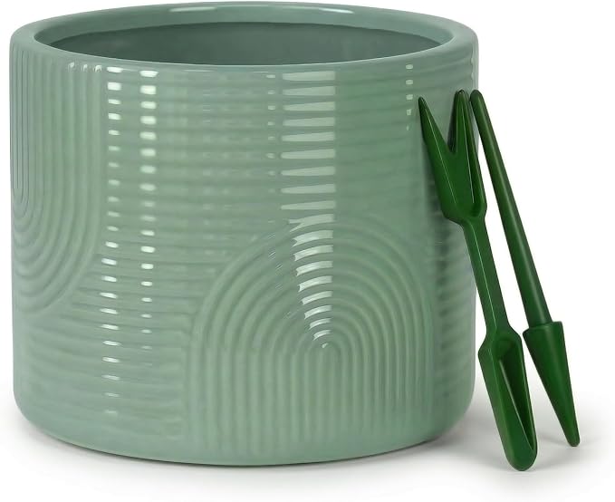 6 Inch Ceramic Plant Pot – Decorative Indoor Planter (No Drainage Hole) for Succulents, Herbs & Houseplants – Modern Tabletop Desk Planter – Sage Green