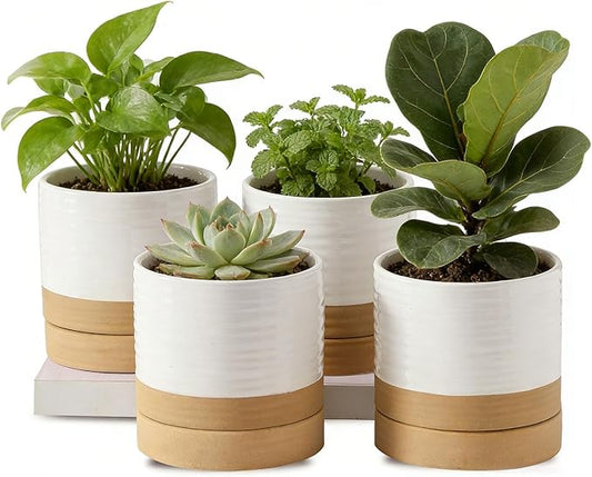 HASENSE 4.6 Inch Plant Pots, Ceramic Flower Pots for Indoor Plants, Small White Planter with Drainage Hole and Saucer, Cute Mini Windowsill Tabletop Decor, Set of 4