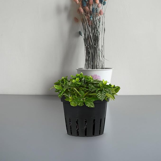8pcs Black Breathable Wall Flower Planters with Multiple Drainage Holes, Indoor Hanging Plant Pots Set for Balcony and Garden Vertical Gardening
