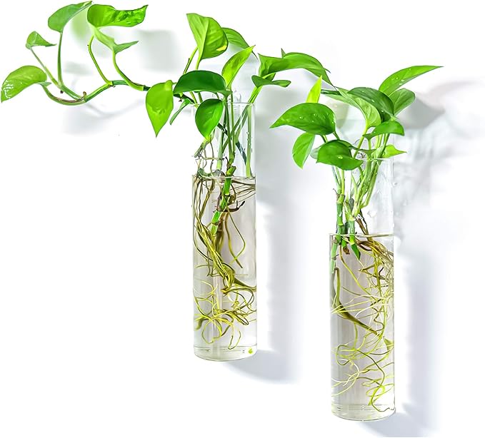 2 Pack Wall Hanging Planters Glass Terrariums - Cylindrical Plants Holders Air Plants Succulents Planters Flowers Glass Wall Vase Containers for Decor Indoor Garden