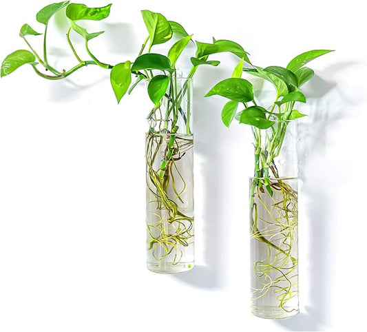 2 Pack Wall Hanging Planters Glass Terrariums - Cylindrical Plants Holders Air Plants Succulents Planters Flowers Glass Wall Vase Containers for Decor Indoor Garden