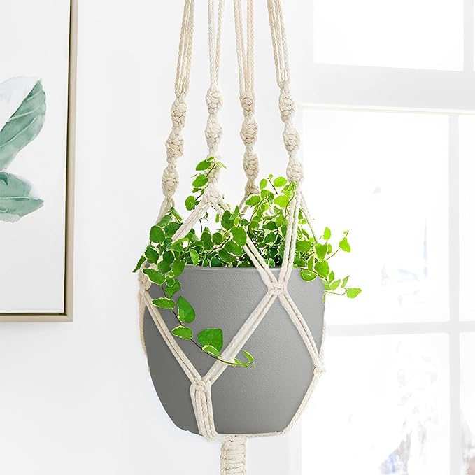 Plant Pots 8 Inch Set of 2, Flower Pots with Multi Mesh Drainage Holes, Planters for Indoor Outdoor Garden Plants and Flowers
