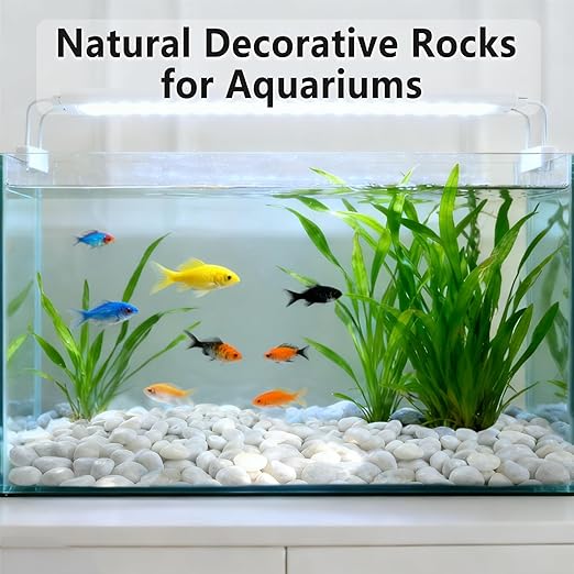 45LB White River Rocks, High Polished Pebbles, 1–2 inch Decorative Rocks for Garden Landscaping, Lava Rocks for Plants, Aquarium & Fish Tank Rocks, Outdoor Decorative Stones & Pathway Design
