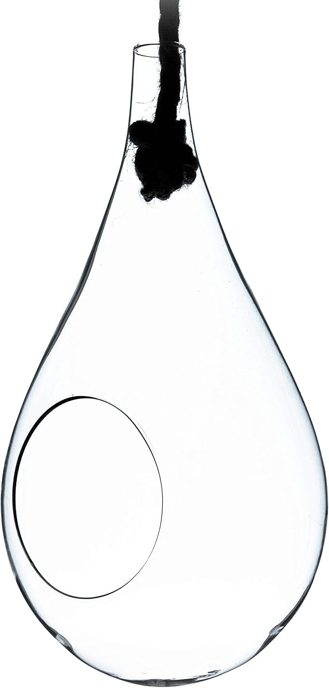 WGV Hanging Planter Terrarium Bulk, Width 6", Height 11", DIY Clear Glass Succulents Air Teardrop Floral Container (Including Rope), Candle Holder Vase for Outdoor Indoor Decor, 6 Pieces