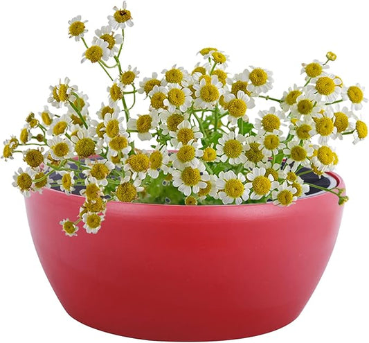 Vencer 11 Inch Plastic Round Self Watering Planter,Water Indicator,Modern Decorative Planter Pot for All House Plants Flowers, Herbs, Vegetables, Tropical,Red,VF-048R