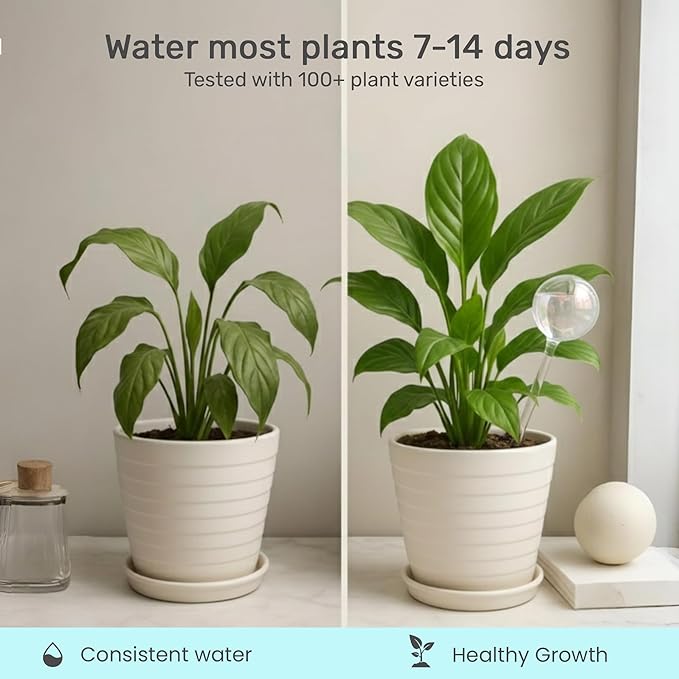 Automatic Plant Watering Globes, Self Watering Planter Inserts (Set of 10) | Clear Plastic Bulbs | 6 × 300ml + 4 × 70ml | Indoor & Outdoor Use