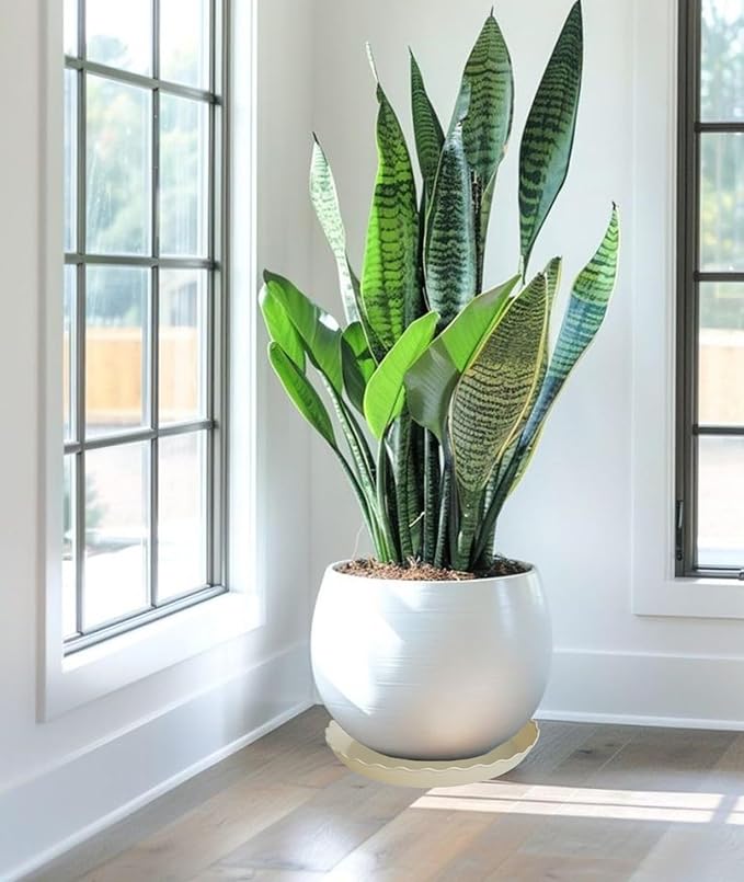 2 Pack Plant Saucer 10 inch, Heavy Duty Plastic Plant Saucers, Durable Plant Tray for Pots, Flower Saucers for Indoors, Plant Pot Saucers, Trays for Planter (Beige)