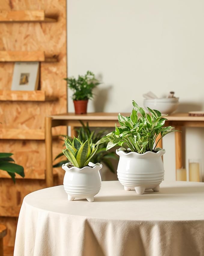 Ceramic Planter, 2 Piece Ceramic Planter Set with Drainage Hole for Home and Office, Indoor Plant Potting, Suitable for Succulents, Bonsai, Snake Grass and Money Tree, etc. (White)