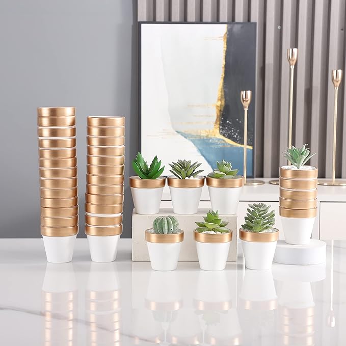 Yishang 2.5 inch White&Gold Terracotta Pots with Drainage Holes,Small Mini Clay Ceramic Pottery Planter,Cactus Flower Terra Cotta Pots,Succulents Nursery Pots for Indoor/Outdoor Plants,Crafts-12 Pack