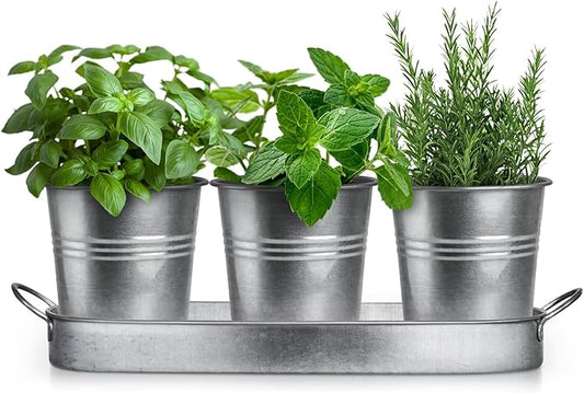 Plexon Herb Planter Indoor Garden Set of 3 with Tray, Metal Herb Pots for Indoor Plants, Round Kitchen Garden Kit Ideal for Windowsill Planter or Countertop, Galvanized Steel