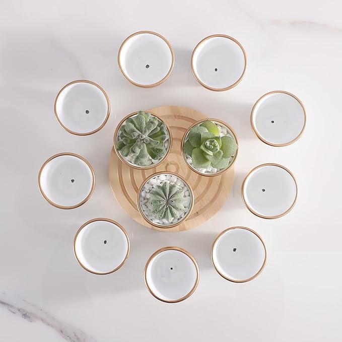 12 PCS Small Mini White Gold Clay Pots with Drainage Holes, 2.5inch Terra Cotta Pot Clay Ceramic Pottery Planter,Succulent Nursery Pot/Cactus Plant Pot,for Indoor/Outdoor Plants,Crafts,Wedding Favor