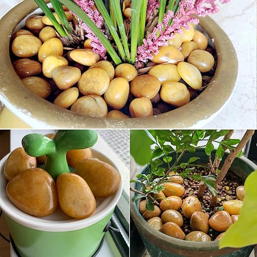 10lbs Yellow River Rocks, 2-3 Inch Natural Pebbles for Indoor Plants, High Polished Decorative Stones Vase Filler Fish Tank Aquariums Landscaping Garden