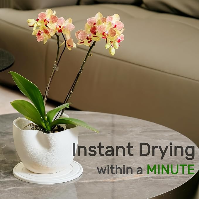 Diatomaceous Earth Plant Saucer for Indoor, 2 Pack 8 inch, Instant Dry Pot Saucer, Plant Drip & Drainage Tray for Indoor, Off White