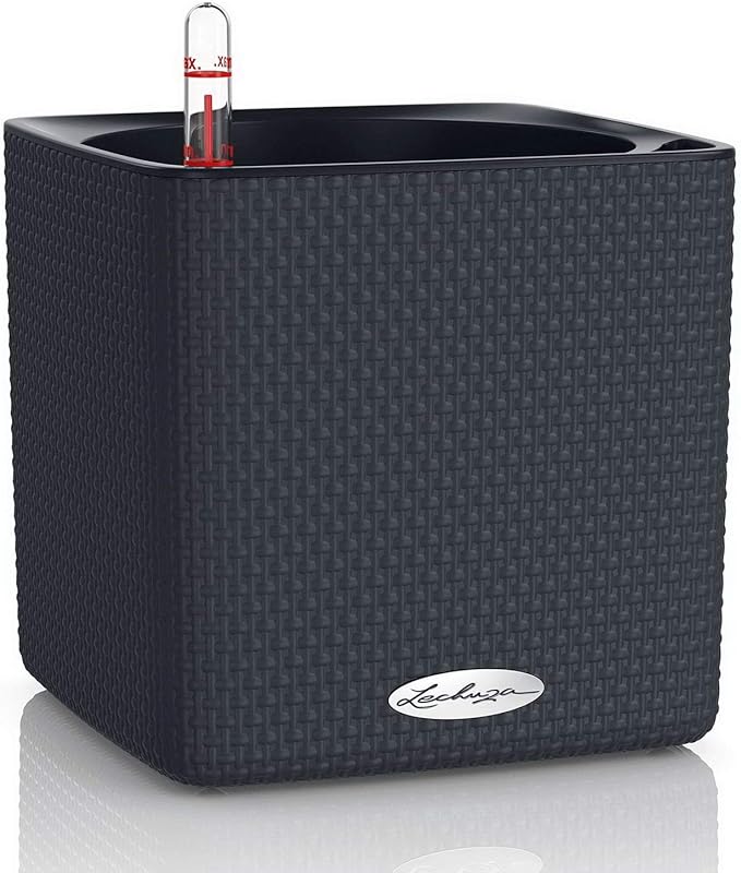 Lechuza Cube Color 16 Slate, Self-Watering Indoor Small Plant Pot, H6.3 L6.7 W6.7 in