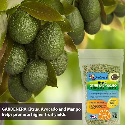 𝐁𝐄𝐒𝐓𝐒𝐄𝐋𝐋𝐄𝐑 6-4-6 Avocado Citrus Tree Plant Food for Outdoor/Indoor Gardening | Quick-Release Nitrogen Fertilizer | Orange, Lime, Avocado and Lemon Tree Fertilizer (20 Quarts)