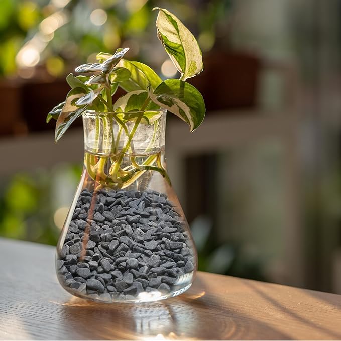 Mr. Fireglass Natural Decorative Gray Bean Pebbles 1/5" Crushed Gravel Stone for Decorating Garden, Succulent Plants and Walkway (10-lb Bag) (Pack of 2)