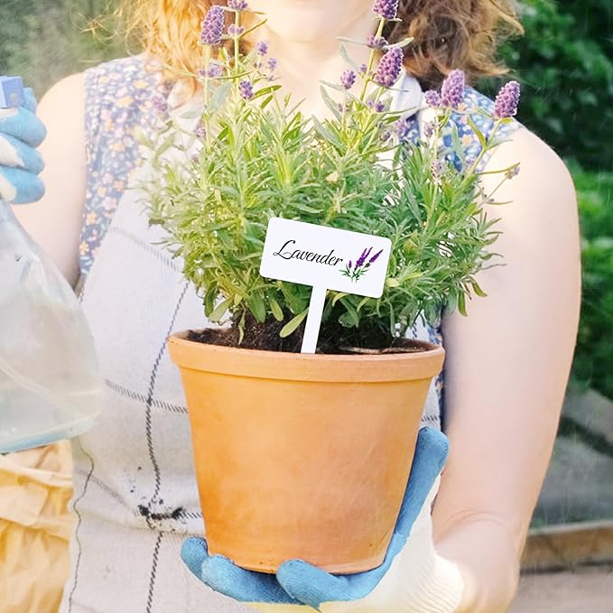 24 Pcs Acrylic Herb Garden Signs Plant Labels Waterproof Reusable Plant Tags with Names for Seedlings Nursery Outdoor Indoor Garden Permanet Labels Markers