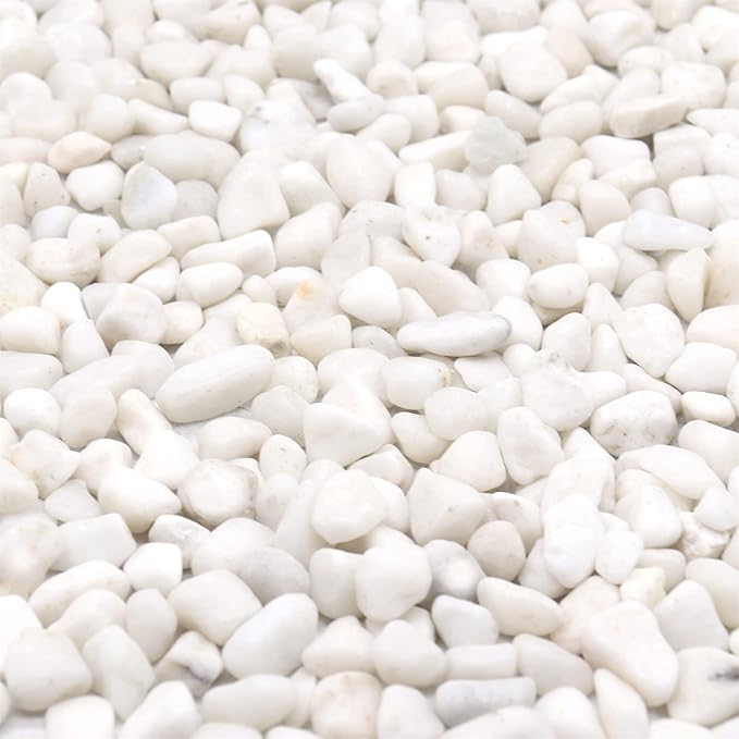 White Rocks for Plants. White Decorative Polished Pebbles. 3/8 Inch – 10lbs for Plants,Garden, Landscaping, Succulents, pots, Plants (XSM (0.375 Inch), White - Lightly Polished, 10)