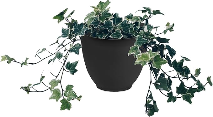 The HC Companies 8 Inch Garden Wall Planter - Plastic Hanging Plant Pot for Indoor Outdoor Flowers, Herbs, Black (Pack of 2)