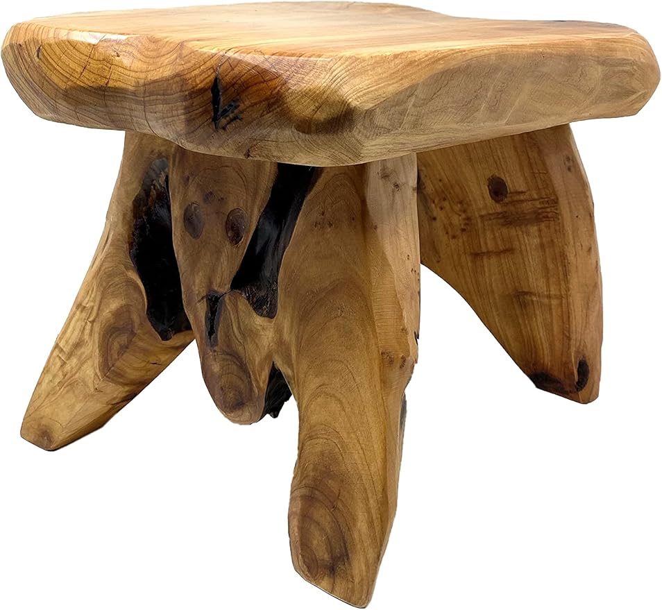 THY COLLECTIBLES Natural Tree Stump Stool Live Edge Cedar Wood Plant Stand, Stool, Garden Bench, Side Table L13 x W11 x H9.5