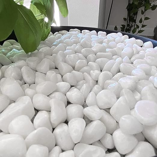 White River Rocks for Plants 11.25 LB Small Decorative Pebbles 1"-1.5" Polished Stones Smooth Aquarium Gravel for Fish Tank Vases Indoor Planters Outdoor Landscaping Garden (180oz)