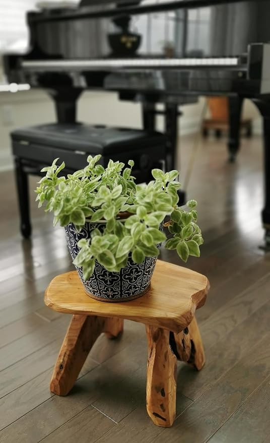 THY COLLECTIBLES Natural Tree Stump Stool Live Edge Cedar Wood Plant Stand, Stool, Garden Bench, Side Table (L13.5 x W11 x H15)