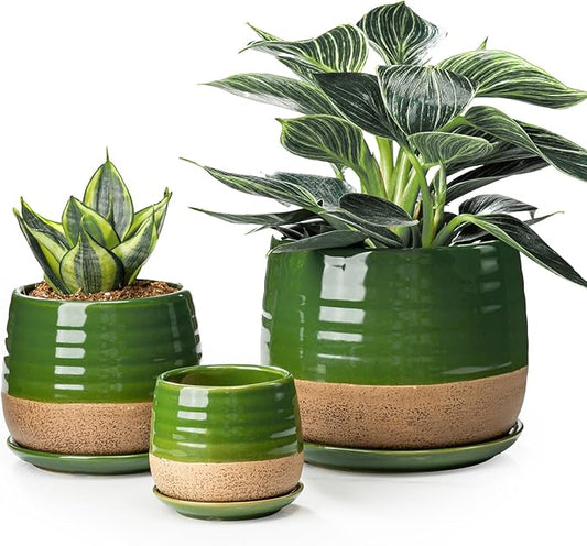 3 Piece Ceramic Small Planter for Indoor Plants - Succulent Plant Pots with Drainage Holes and Saucers - 3.4/4.7/6.1 inch Modern Decorative Small Flower Pots for Bamboo, Succulents and Herbs, Green