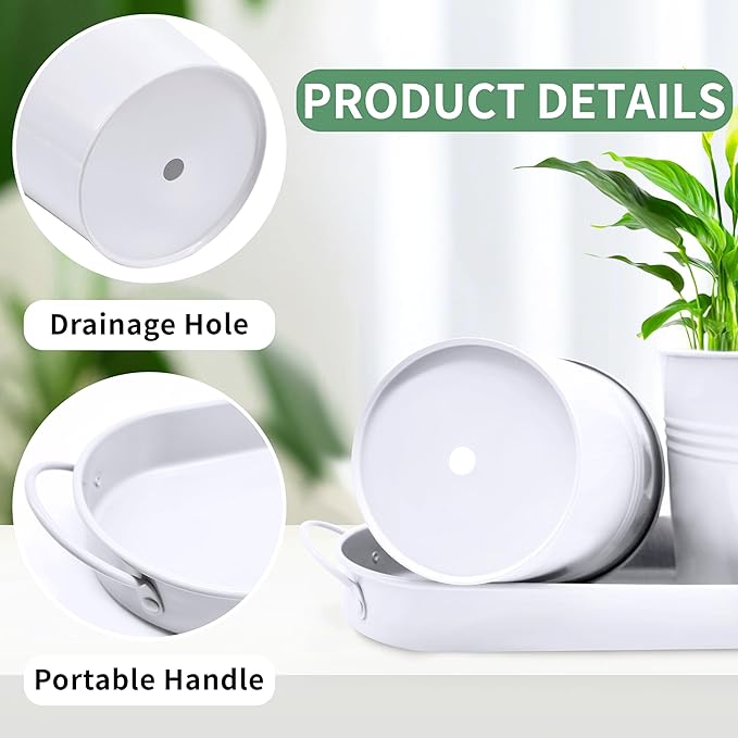 TCBWFY Indoor Herb Garden Planter Set, 3-Pack 4.7 Inch White Metal Plant Pots with Drainage Holes & Removable Tray, Windowsill Planter for Kitchen Countertop, Balcony, Office