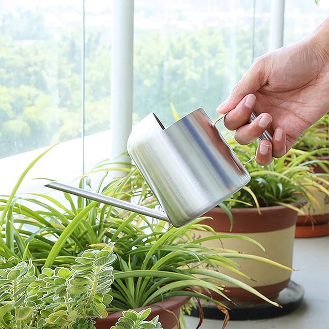 Watering Cans, 10oz/300ml Stainless Steel Long Spout Small Watering Sprinkling Pot, Indoor Outdoor Garden Flower Succulents Plant Watering Cans, Stylish Gardening Decoration(Silver)