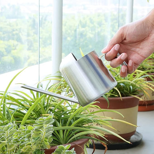 Watering Cans, 10oz/300ml Stainless Steel Long Spout Small Watering Sprinkling Pot, Indoor Outdoor Garden Flower Succulents Plant Watering Cans, Stylish Gardening Decoration(Silver)