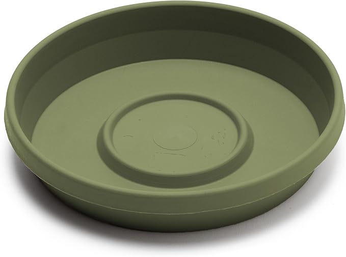 Bloem Terra Resin Saucer Tray: 8" Bottom Width - Matte, Durable, Ribbed Bottom, Indoor and Outdoor, Fits 10" Terra Pots, Living Green