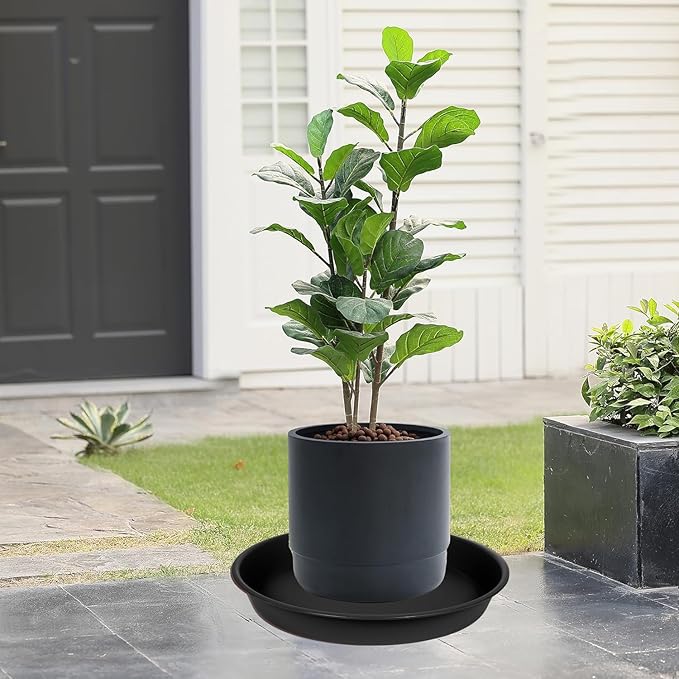 6 Packs of Plant Saucer Tray 6 inch, 4 5 6 8 10 12 14 16 18 20 inch Heavy Duty Plastic Drip Trays Saucers for Indoors Outdoor Garden, Flower Pot Drainage Tray, Plate for Planter 5-7" (6", Black)
