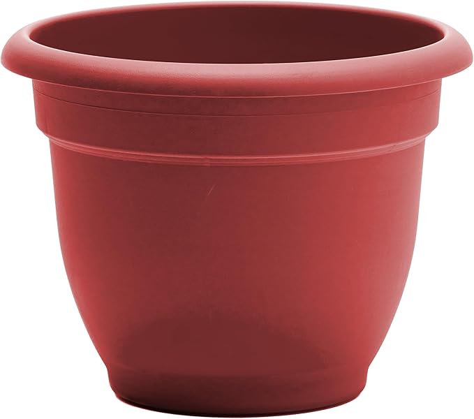 Bloem Ariana 10" Burnt Red Round Self-Watering Resin Planter Pot - Rolled Rim Indoor and Outdoor Gardening Planter