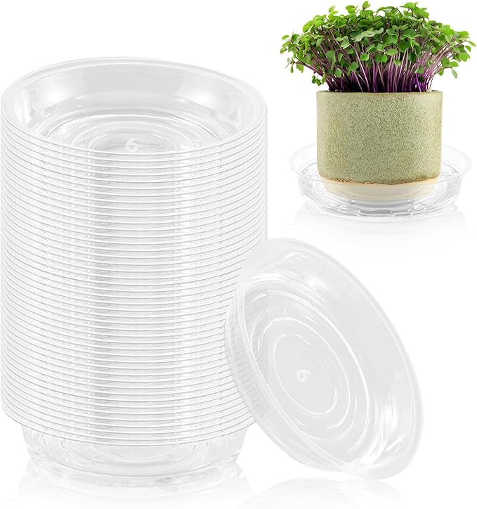 60 Pack 6 Inch Plant Saucer Clear Plant Saucers for Indoors Flower Pot Saucers Small Plants Plate Dish Succulent Pot Saucer Plants Trays for Pots Bulk Plastic Tray for Flower Cactus Nursery Pots