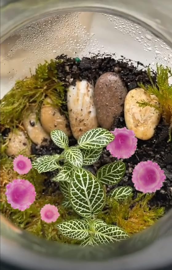 Mini Mushroom Figurines, Tiny Mushrooms Miniature Mushrooms Fairy Garden Accessories Terrarium Decor Micro Resin Mushroom Fairy Garden Decor Mushrooms with Stakes Translucent Pink 5PCs