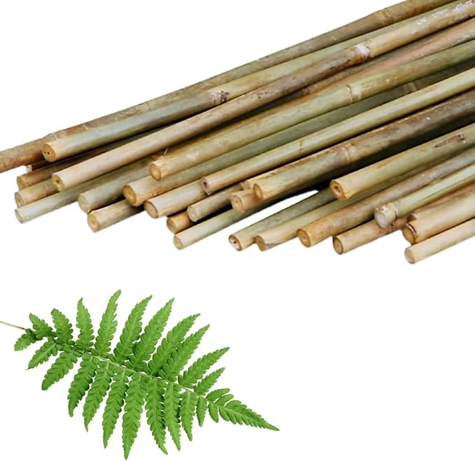 50Pcs Plant Stakes, 4.0 FT Natural Bamboo Garden Stakes, Plant Support Stakes,Bamboo Sticks for Tomato,Beans, Flowers, Vegetable and Climbing Plants