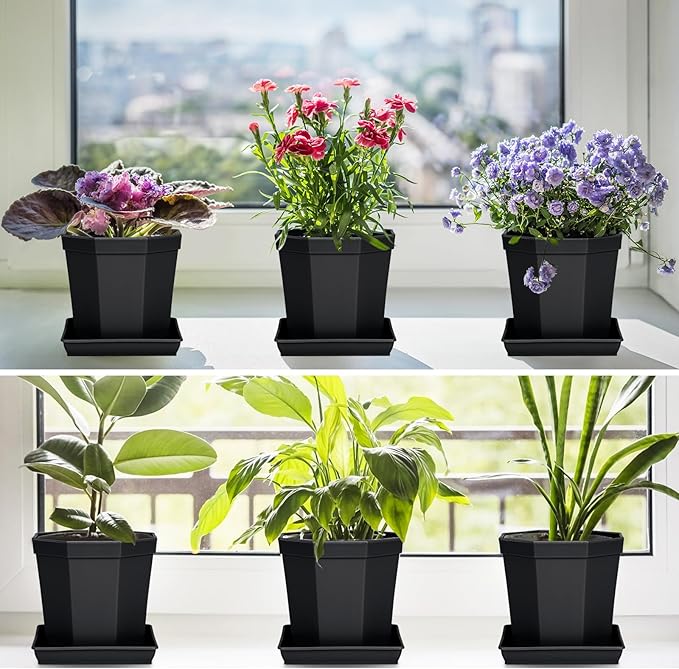 Square Plant Saucer 6inch 5 Pack, Plastic Plant Saucers, Plant Water Dray Tray, 8 10 12 14 16 18 20 Inch Garden Planters for for Pots Base Indoors and Outdoors Plants（6 inch Black）
