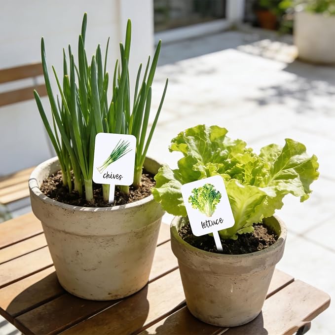 Whaline 20Pcs Acrylic Vegetable Plant Label Signs Garden Markers 20 Styles Watercolor Vegetable Fruit Waterproof Potted Plant Stake Tags with Names for Nursery Indoor Outdoor Garden Decor