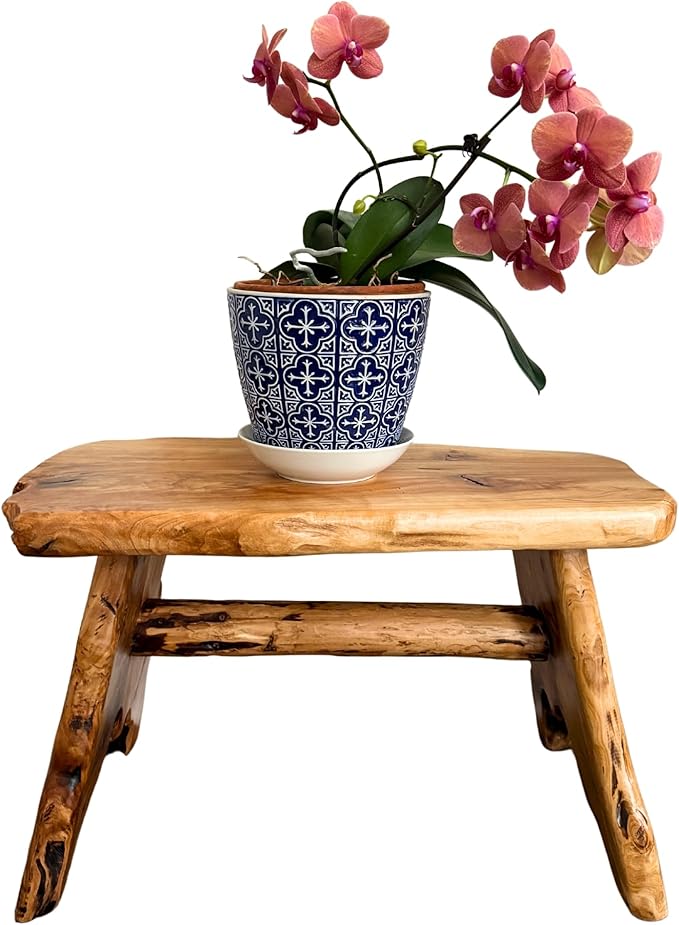 TJ Global Natural Edge Cedar Wood Tree Stump Indoor/Outdoor Stool, Garden Bench, Night Stand, End Table, Plant Stand - L28 x W14 x H17.5