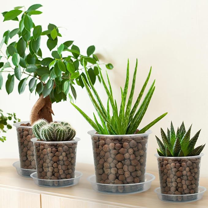 6 Pack Clear Plant Saucer, Durable Plant Drip Trays Saucers for Pots, No Holes Water Catcher Trays for Indoor Outdoor Planter, Sturdy Base Plate (Clear, 3"-6Pack)